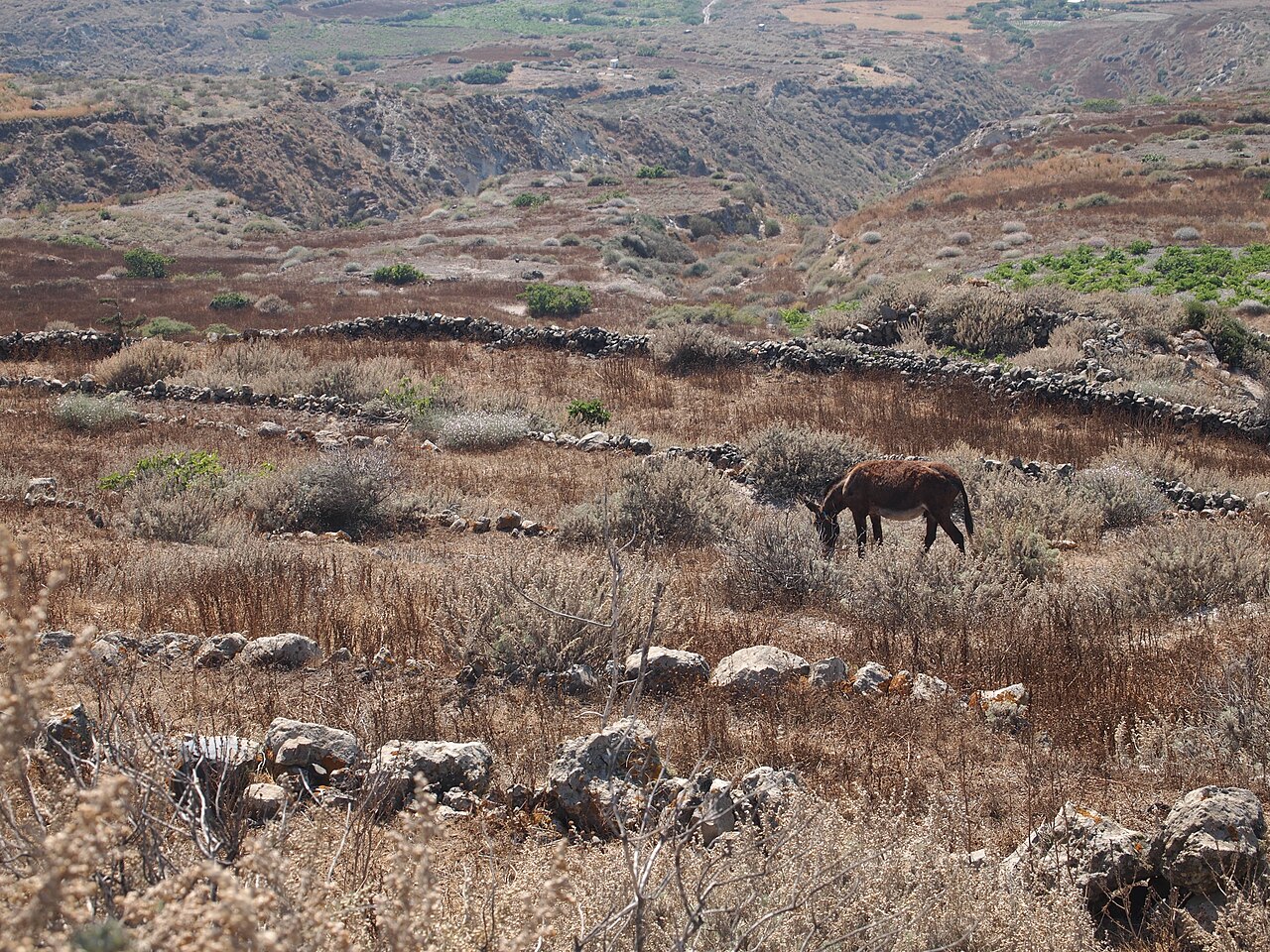 Thirassia countryside and caldera
